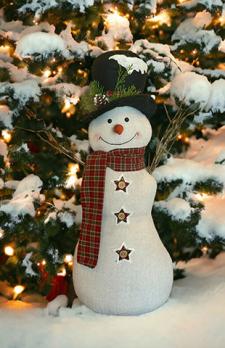 Frosted Black Hat Plaid Scarf Snowman