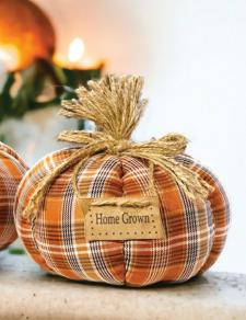 Orange Plaid Home Grown Pumpkin Small 