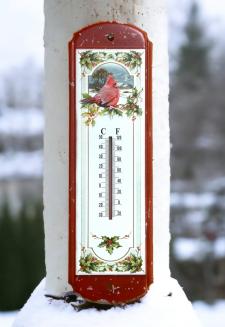 Cardinal Thermometer