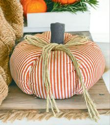 Orange Stripe Pumpkin 