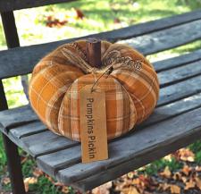 Orange Plaid Pumpkin Pickin 